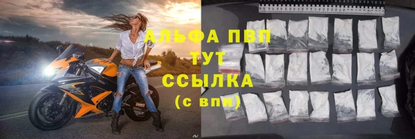 PSILOCYBIN Богородск