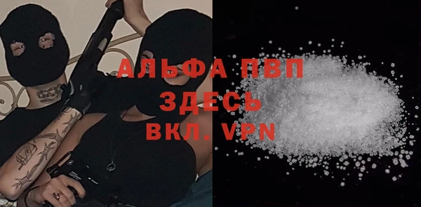 PSILOCYBIN Богородск