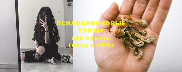 Альфа ПВП Саяногорск
