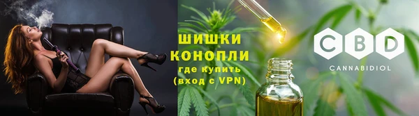 PSILOCYBIN Богородск