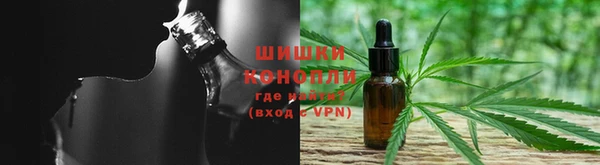 PSILOCYBIN Богородск