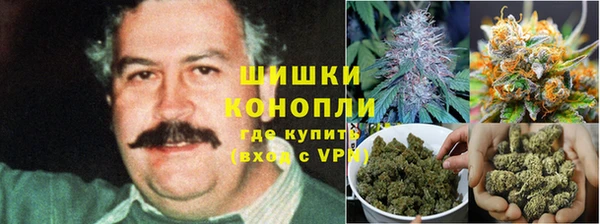 PSILOCYBIN Богородск
