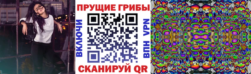 Галлюциногенные грибы прущие грибы  нарко площадка как зайти  Среднеуральск  где купить наркоту  мега как войти 